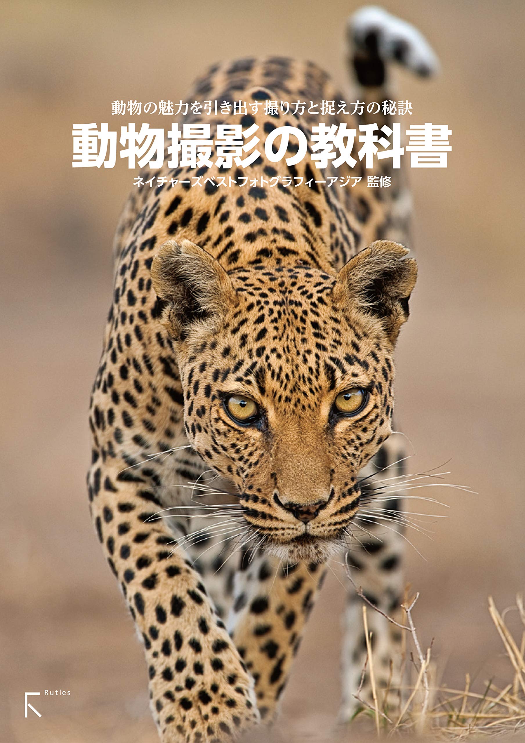 動物撮影の教科書 | ネイチャーズベストフォトグラフィーアジア